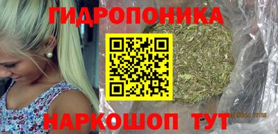 дурь Дубна